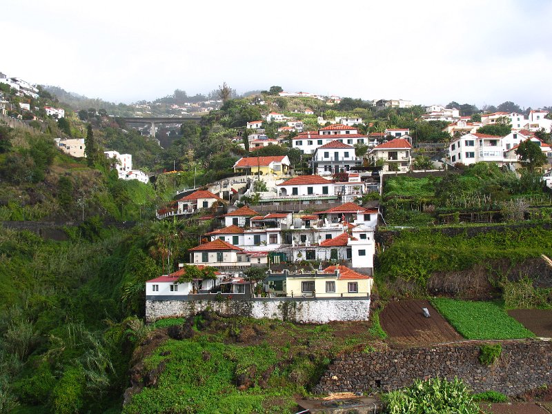 Madeira (97).jpg
